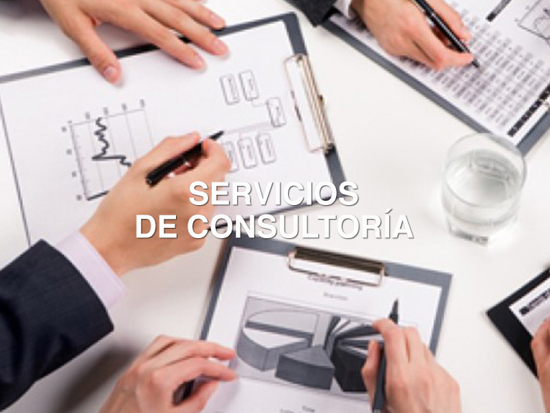 servicios de consultoría