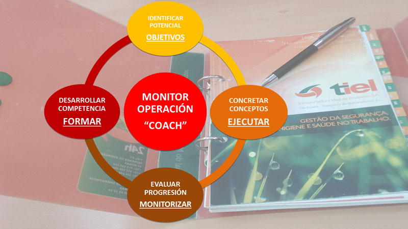 ES-esquema-coaching-TIEL